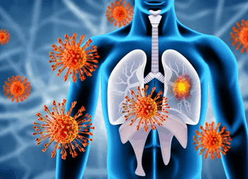 Limpact Du Stress Chronique Sur Le Systeme Immunitaire 360x260
