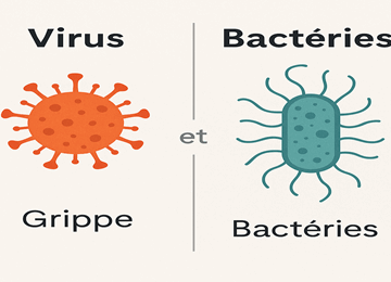 Virus et bacteries 360x260