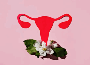 Comment Reguler Ses Cycles Menstruels Naturellement 360x260