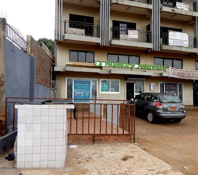 LA PHARMACIE PRINCIPALE