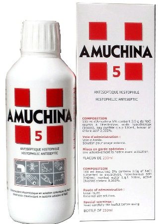 AMUCHINA 5 250 ML LIQUIDE ANTISEPTIQUE