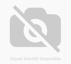 ARPHOS MAGNES 20 AMPOULES BUVABLES DE 10 ML