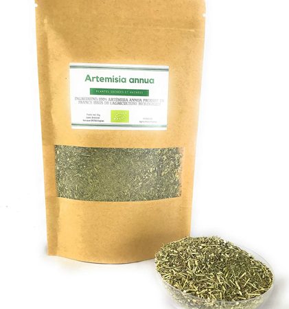 ARTEMISIA ANNUA 40 G