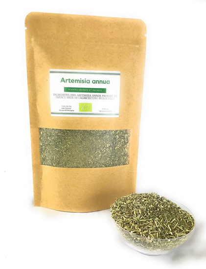 ARTEMISIA ANNUA 40 G