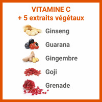 VitascorbolBoost 5G 20 Ampoules Buvables – Image 5