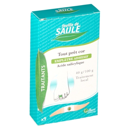 FEUILLE DE SAULE TOUT PRET COR 40 g/100 g
