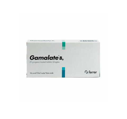 GAMALATE B6