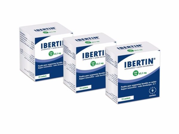 IBERTIN 500 mg/62,5 mg